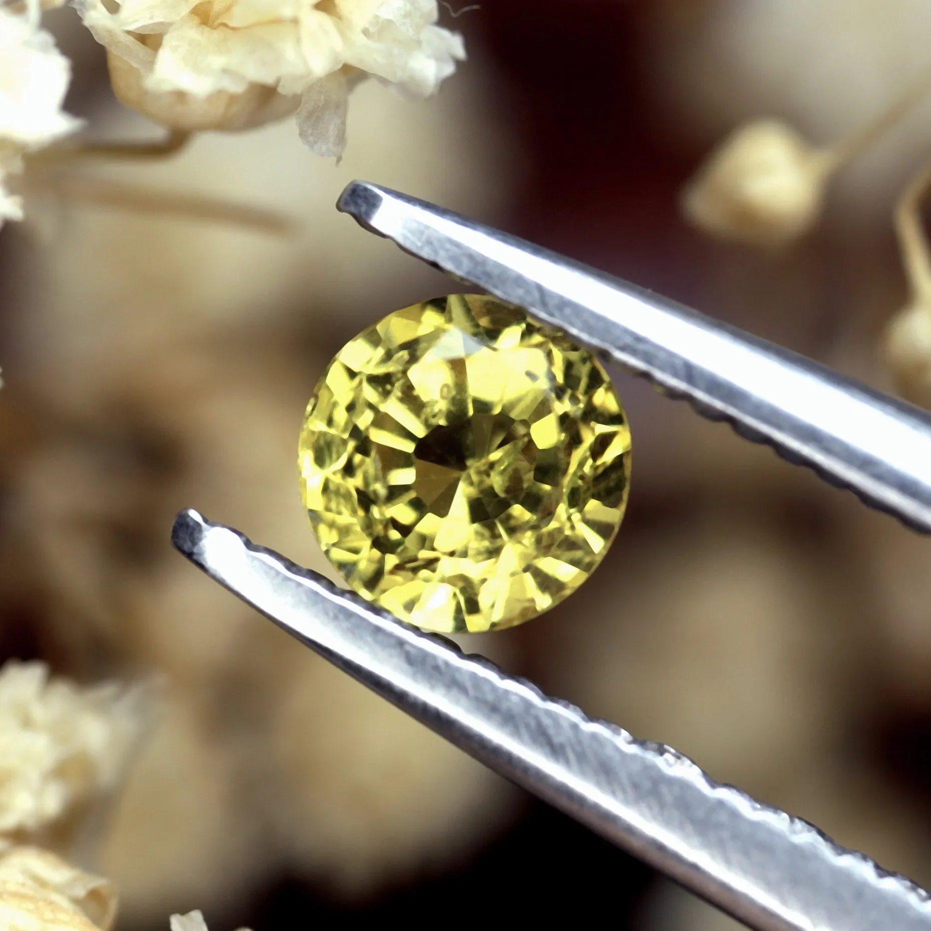 0.50ct Certified Natural Yellow Saphire