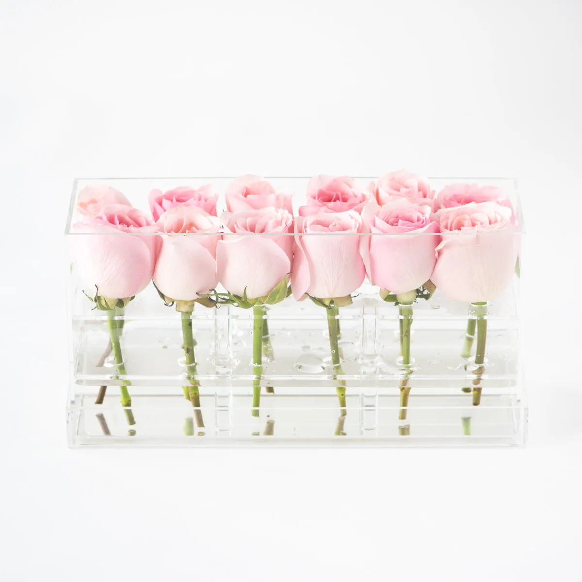12 Rosebox Doble Row
