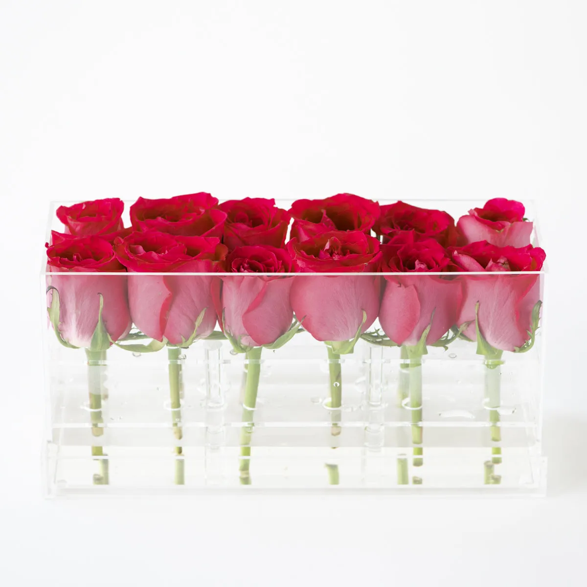 12 Rosebox Doble Row