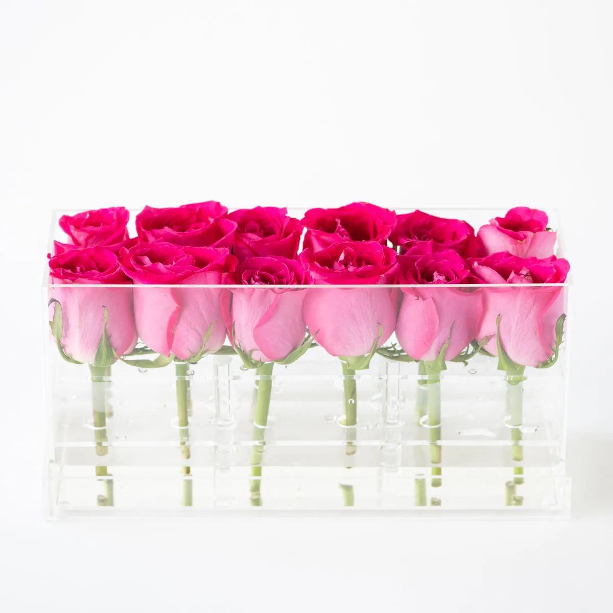 12 Rosebox Doble Row