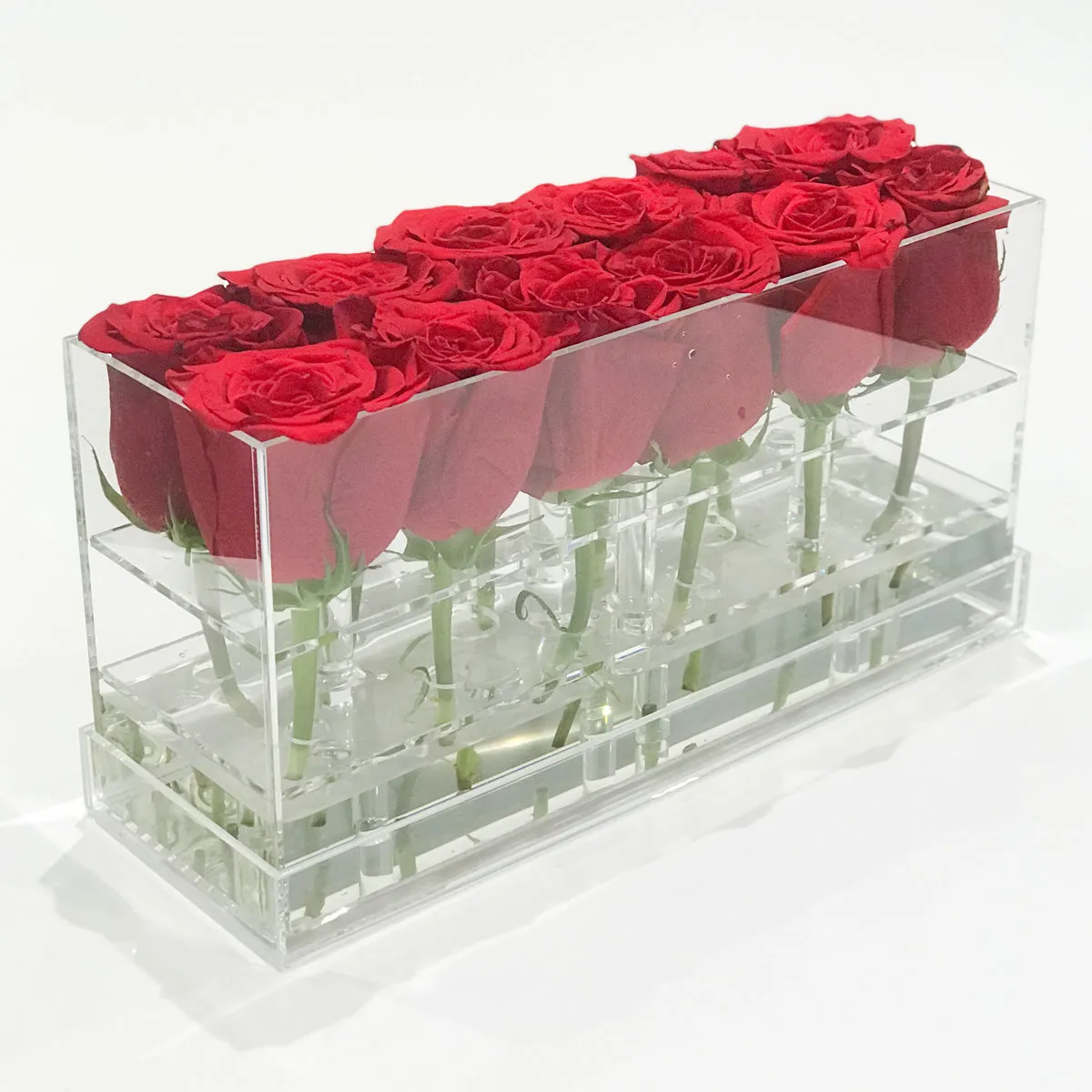 12 Rosebox Doble Row