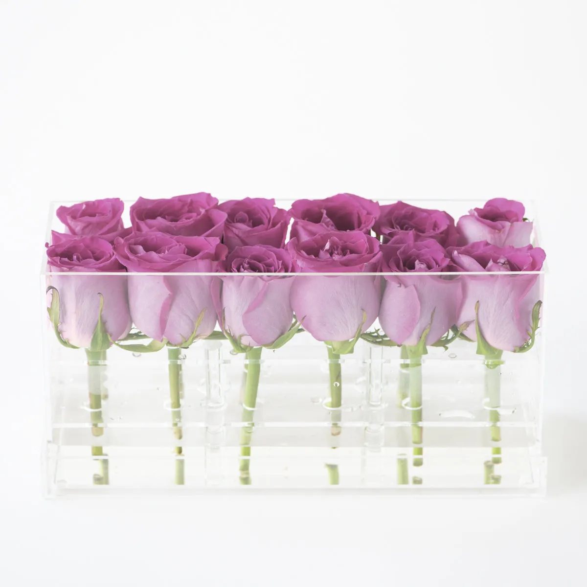 12 Rosebox Doble Row