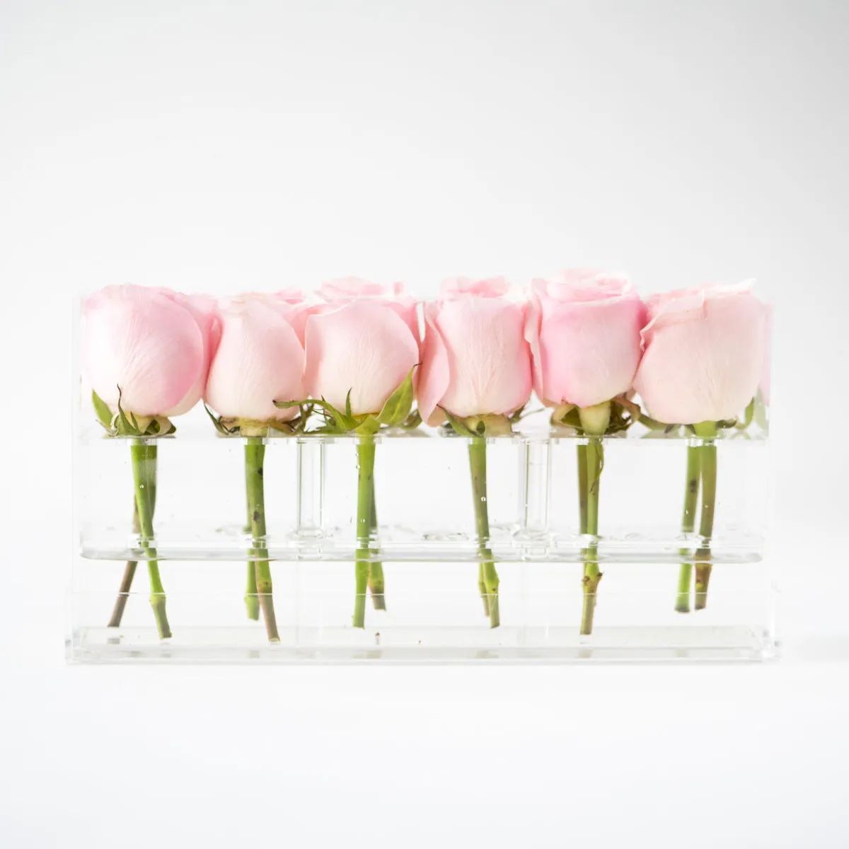 12 Rosebox Doble Row