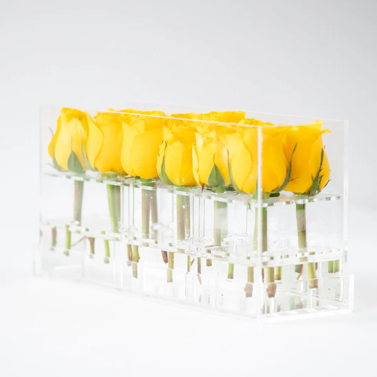12 Rosebox Doble Row