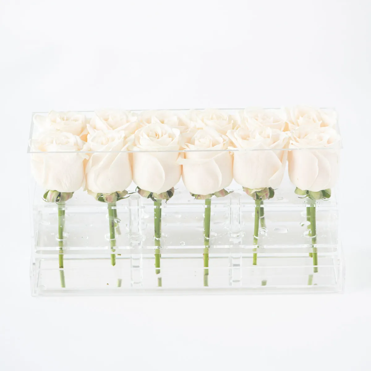 12 Rosebox Doble Row