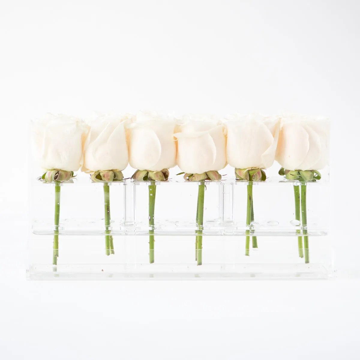 12 Rosebox Doble Row