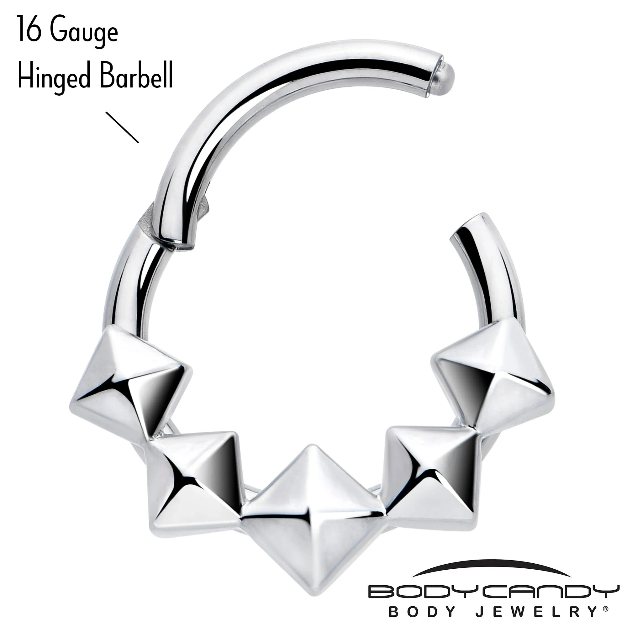 16 Gauge 5/16 3D Punk Style Hinged Segment Ring