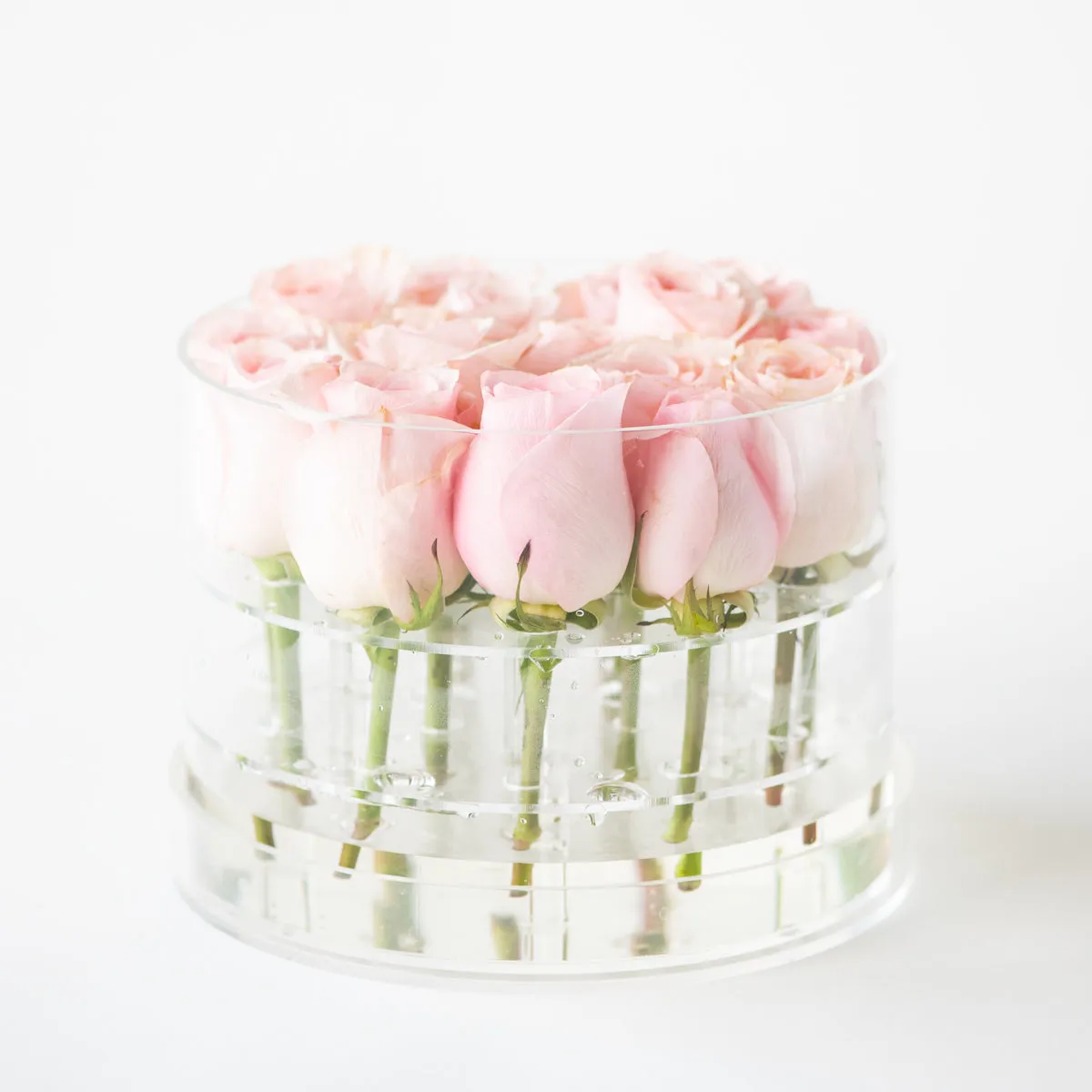 16 Rosebox Round