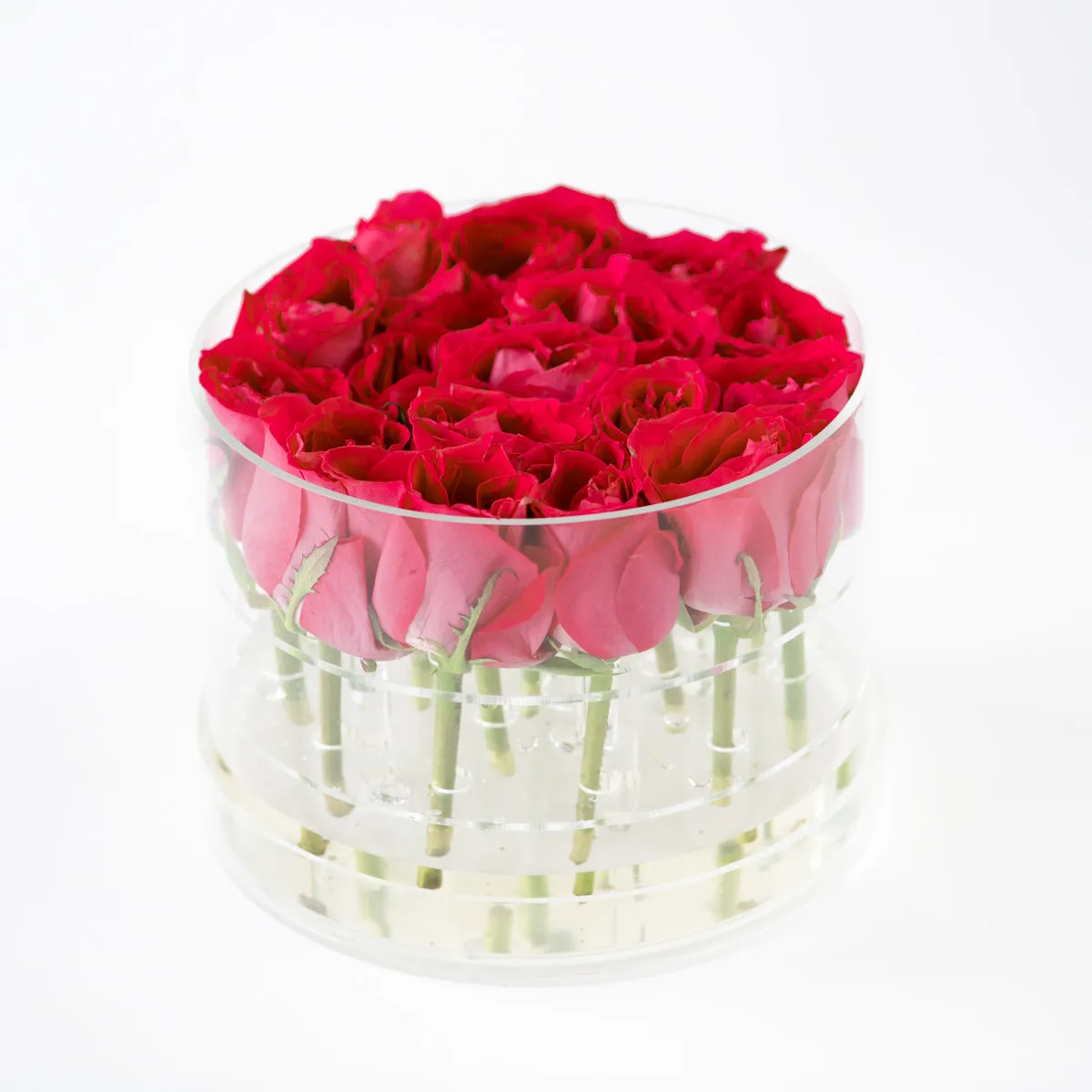 16 Rosebox Round