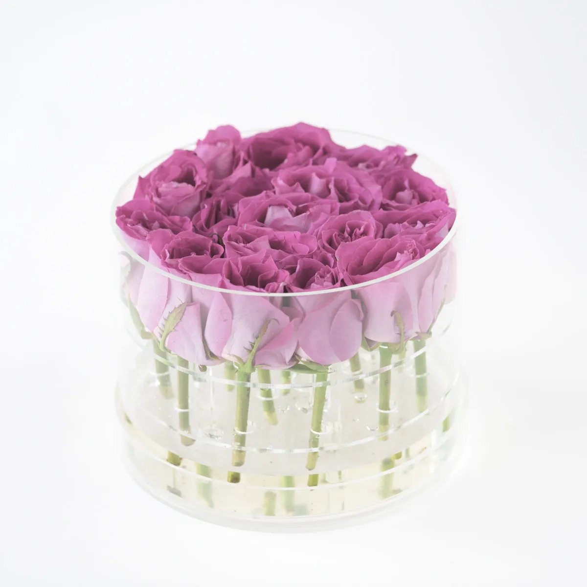 16 Rosebox Round