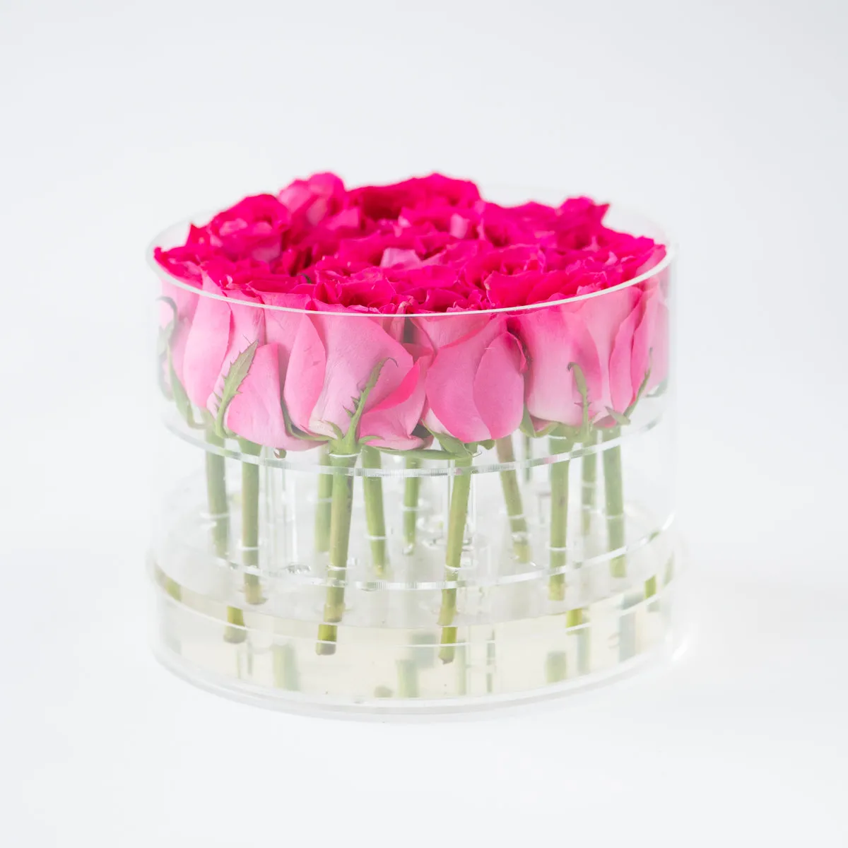 16 Rosebox Round