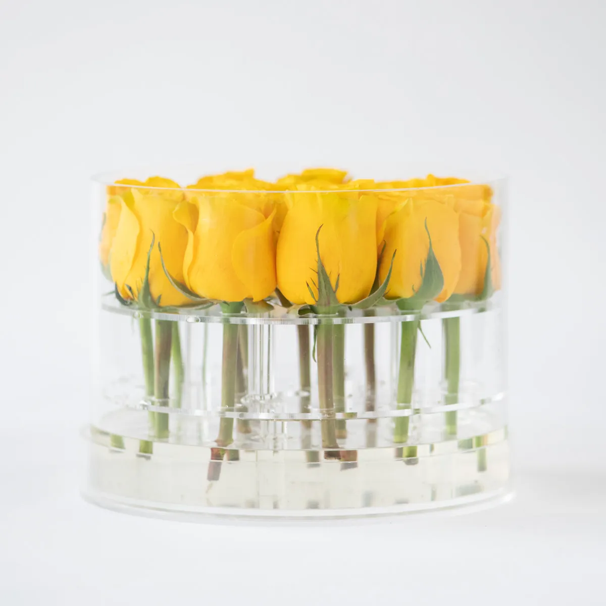 16 Rosebox Round