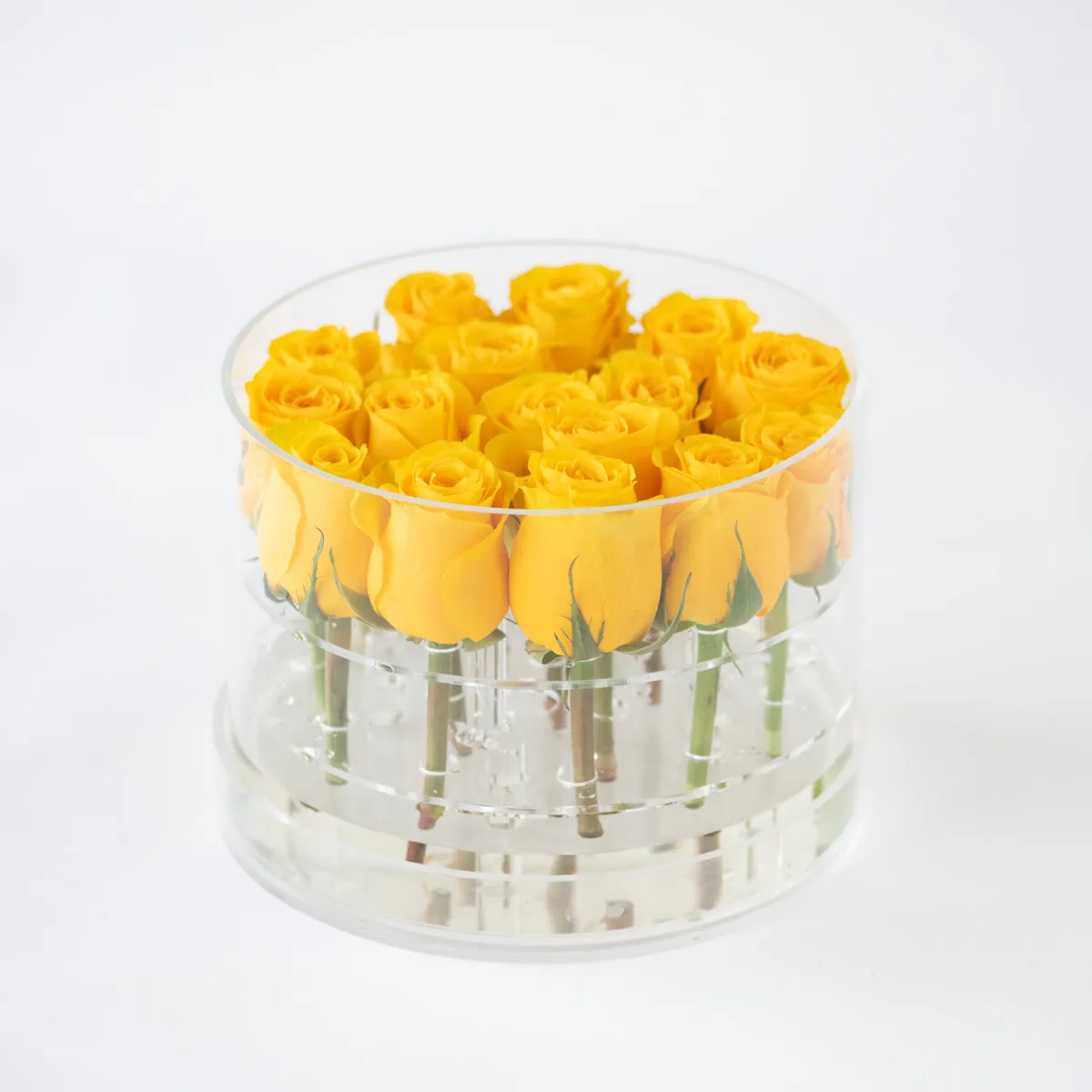 16 Rosebox Round