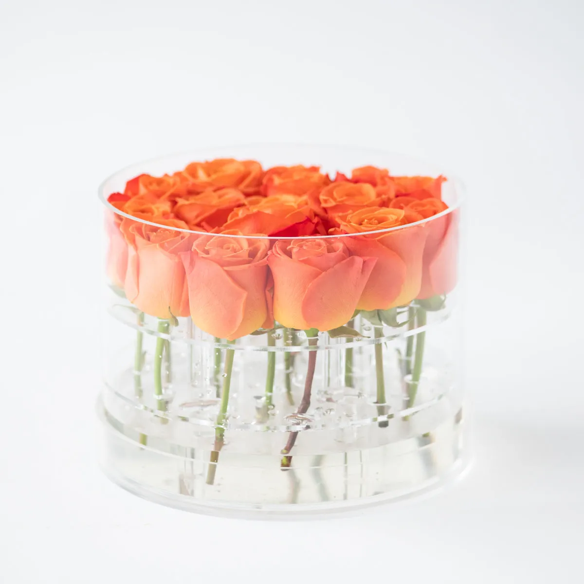 16 Rosebox Round