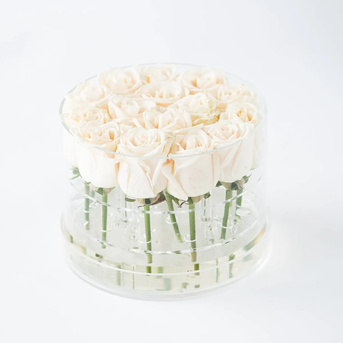 16 Rosebox Round