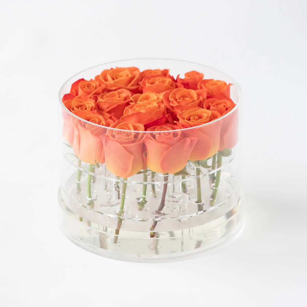 16 Rosebox Round