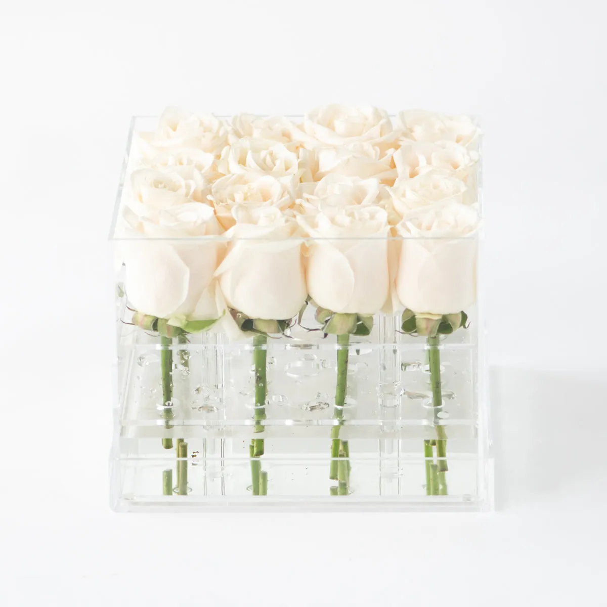 16 Rosebox