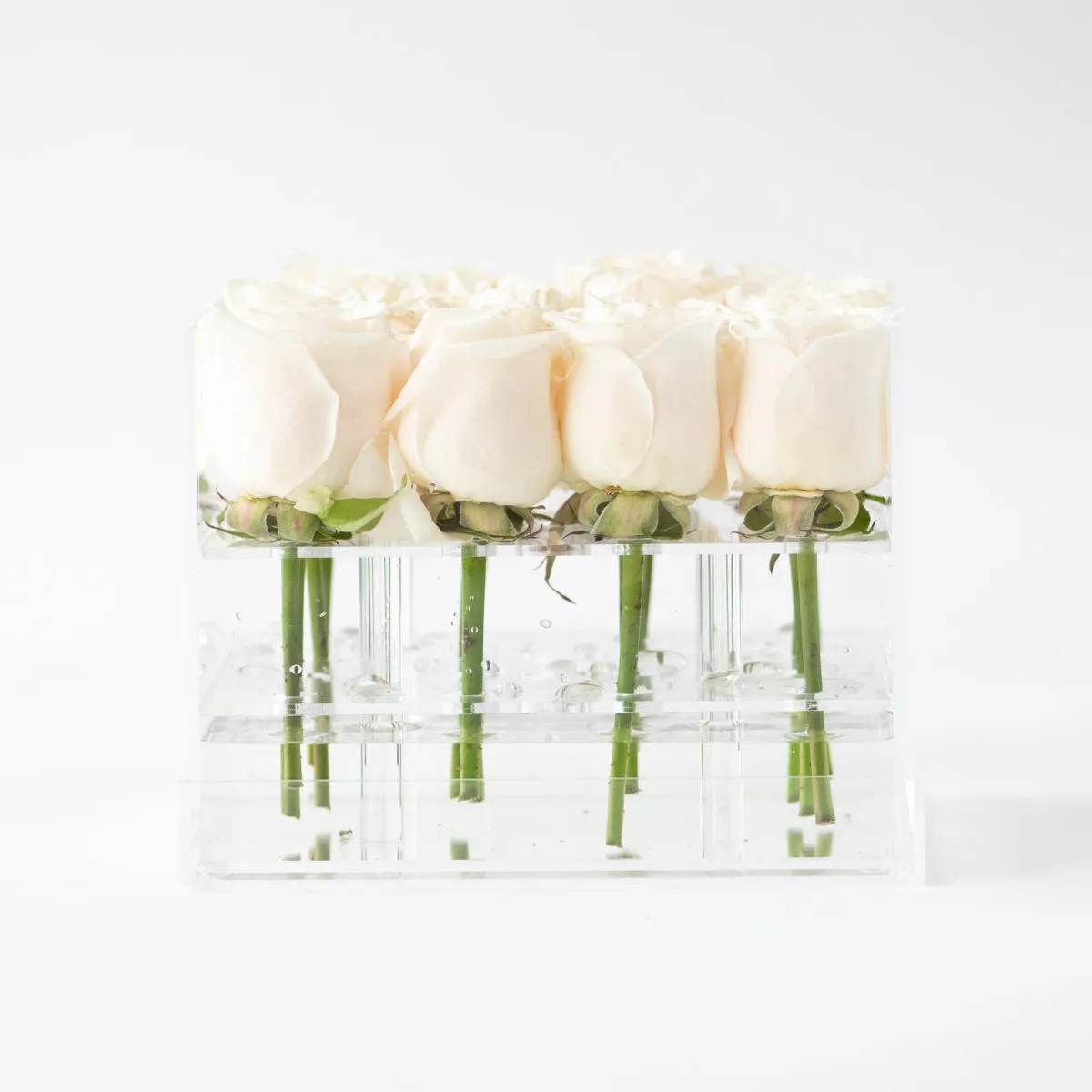 16 Rosebox