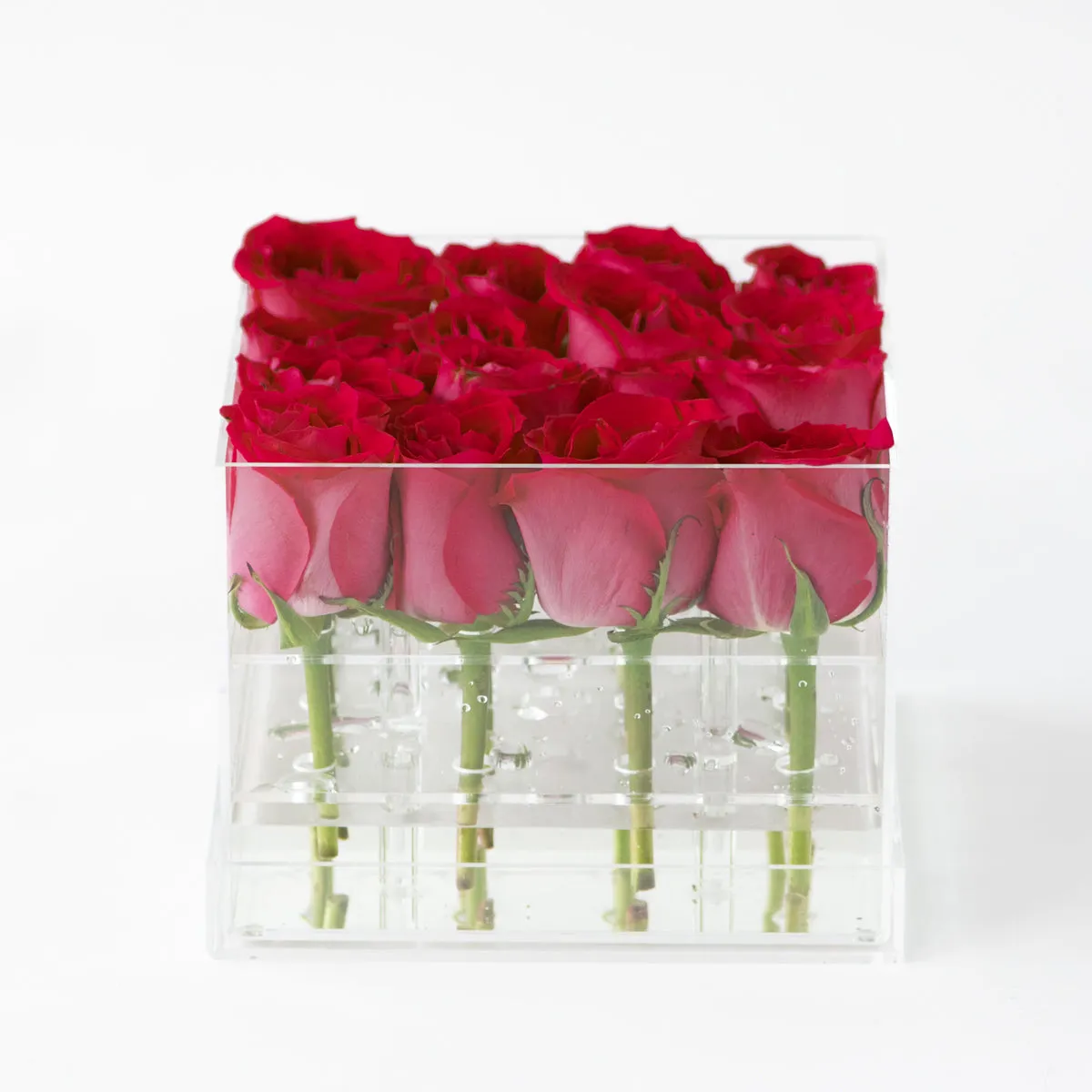 16 Rosebox