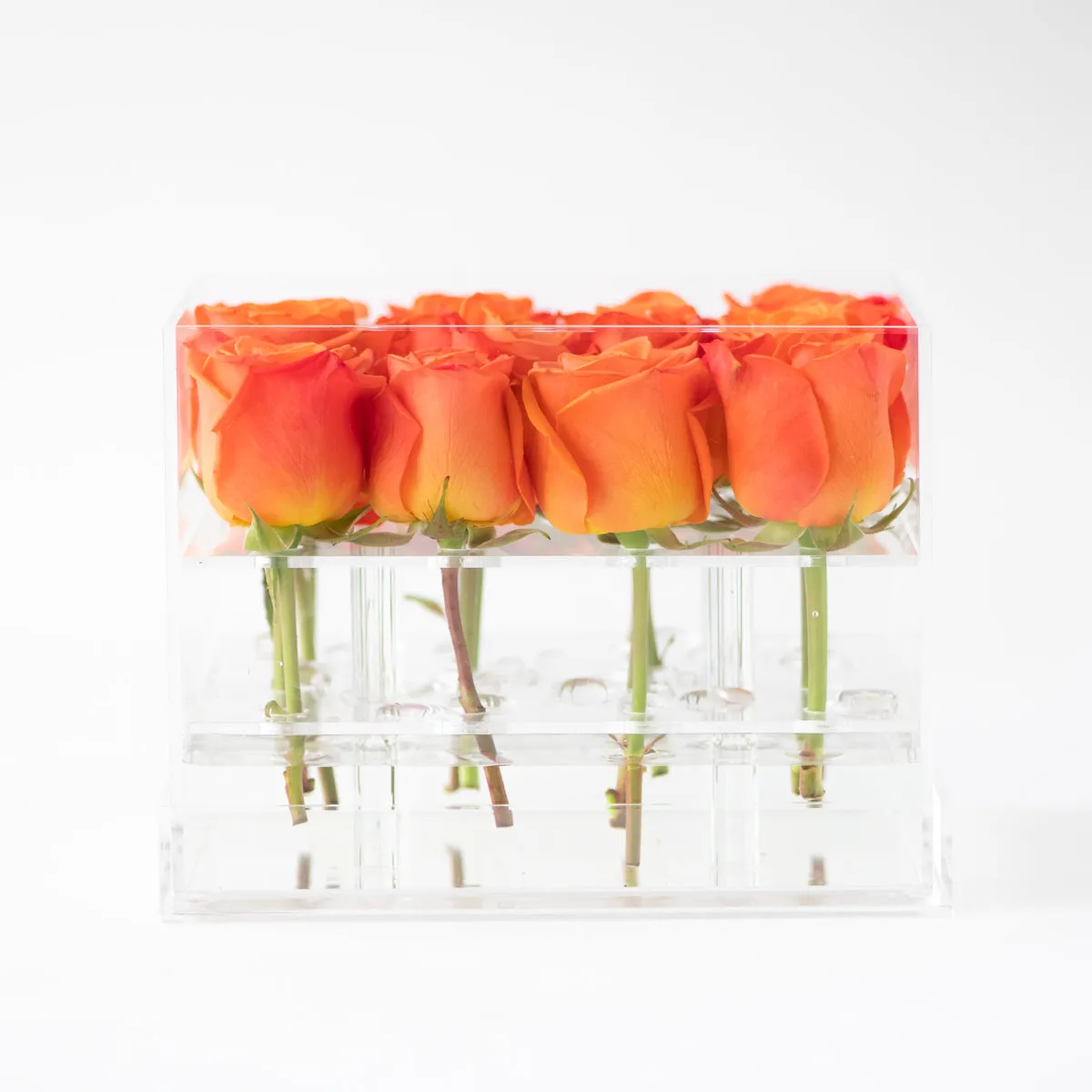16 Rosebox