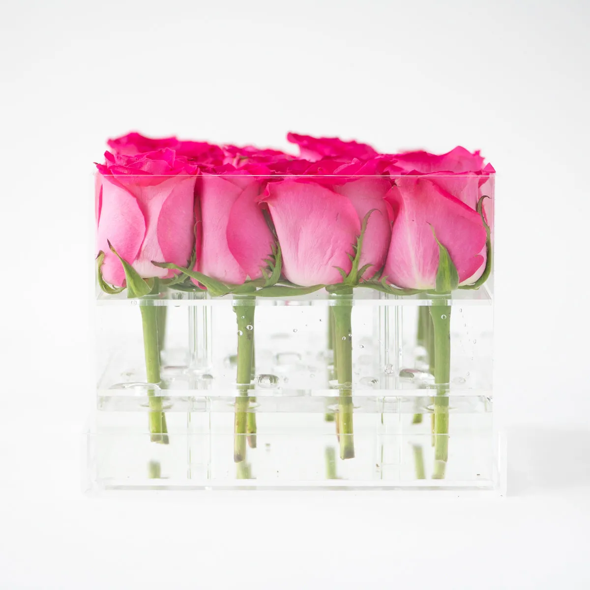 16 Rosebox
