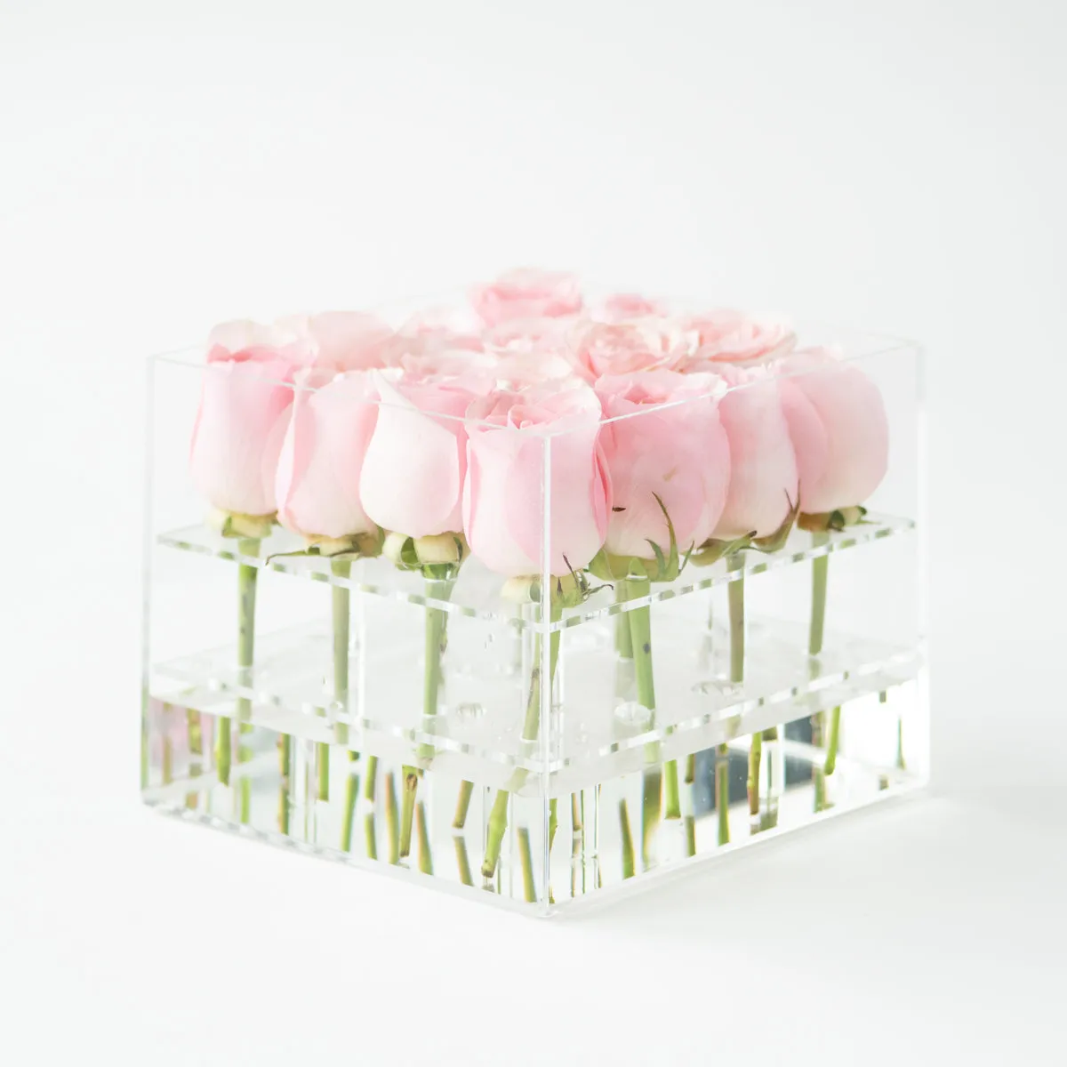 16 Rosebox