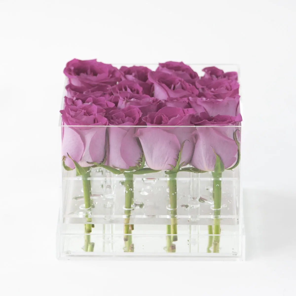16 Rosebox