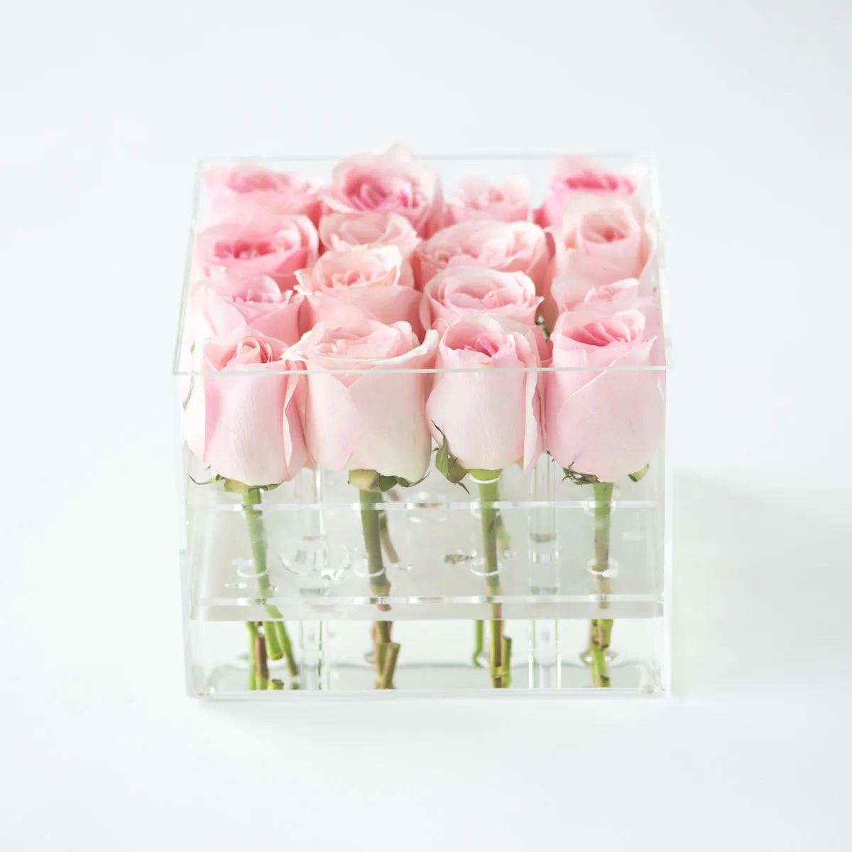 16 Rosebox