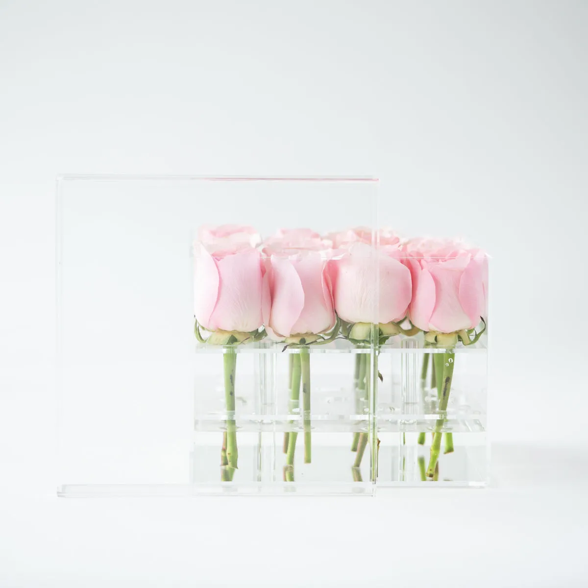 16 Rosebox