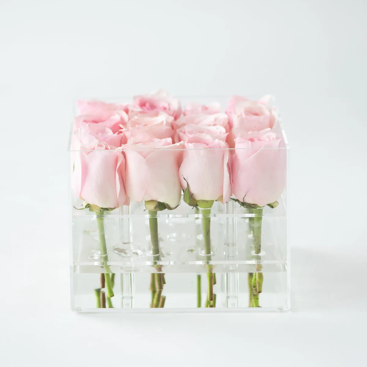 16 Rosebox