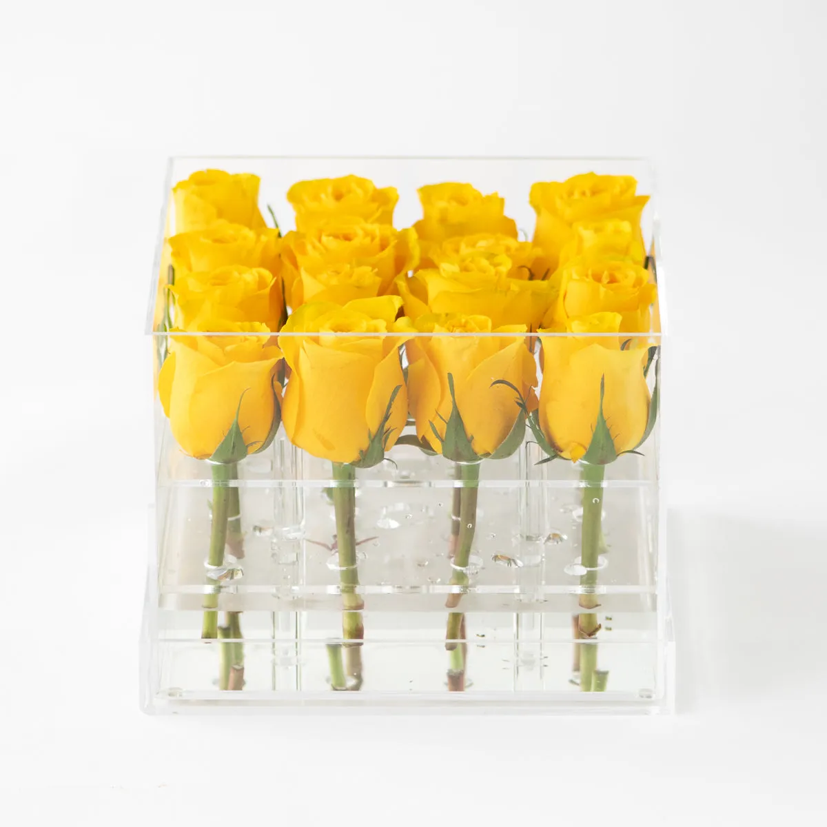 16 Rosebox