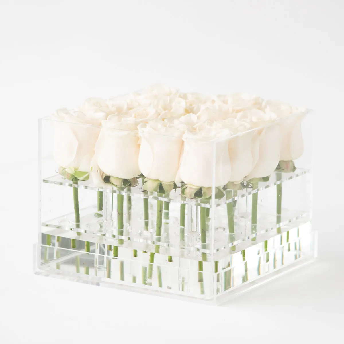 16 Rosebox