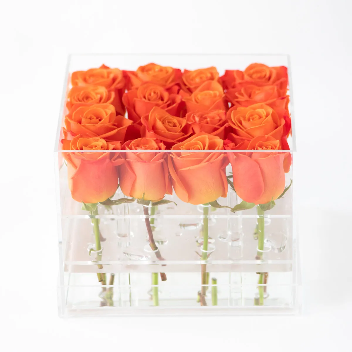16 Rosebox