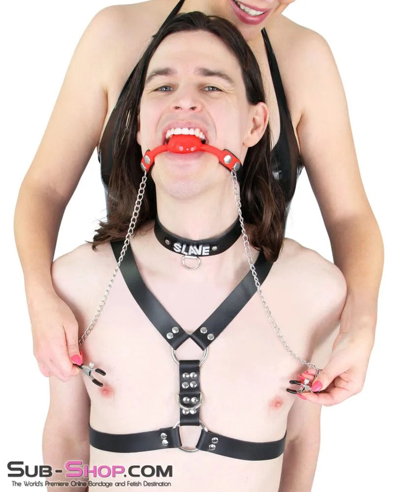 3755RS      Red Silicone Locking Ball Gag and Nipple Clamps Set - LAST CHANCE - Final Closeout!