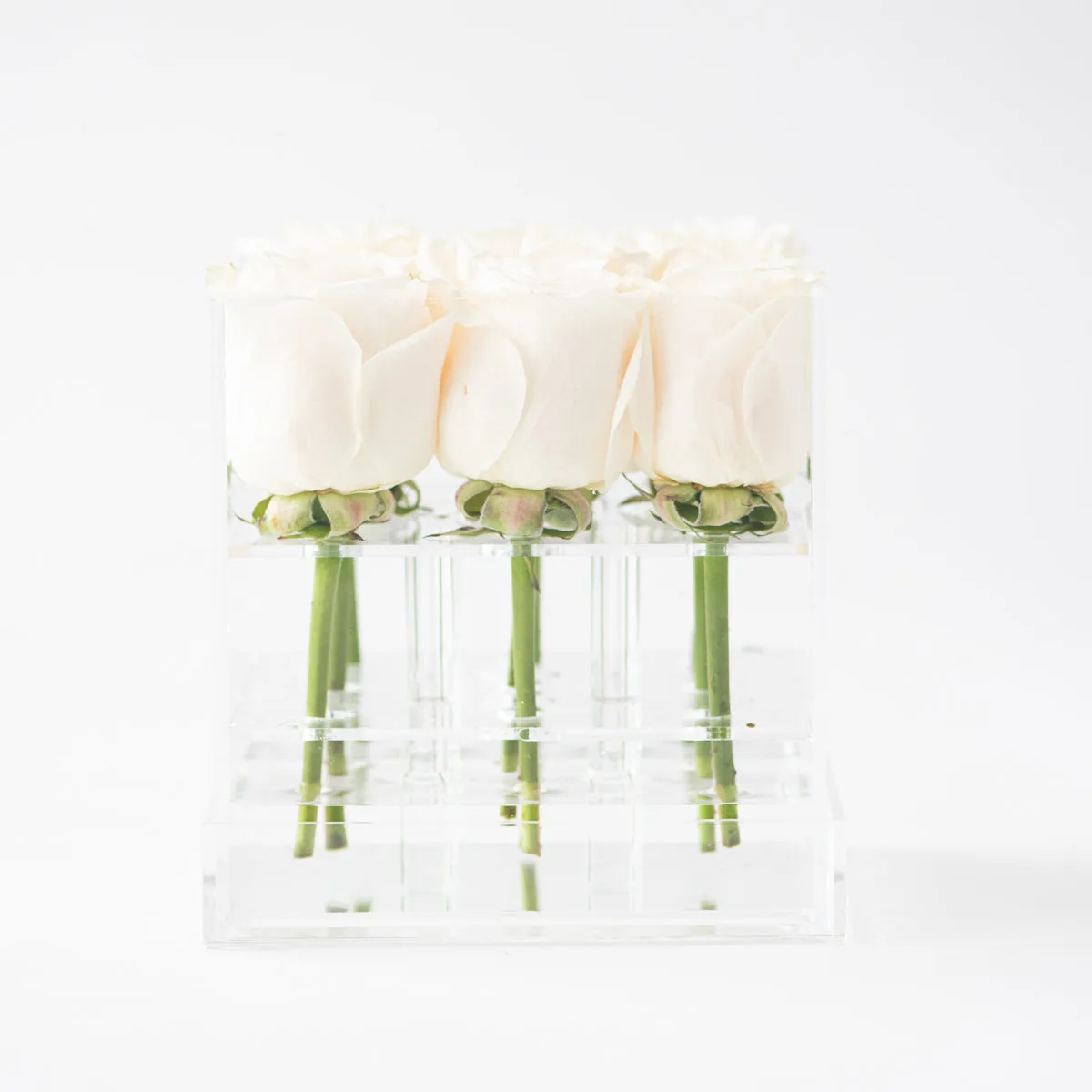 9 Roses