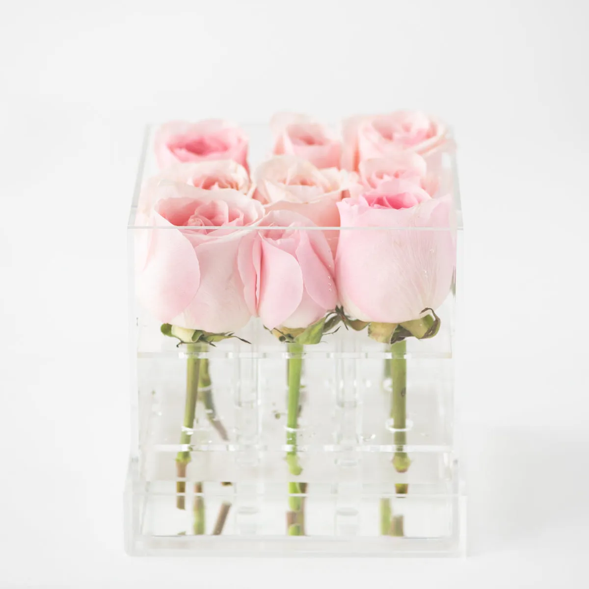 9 Roses