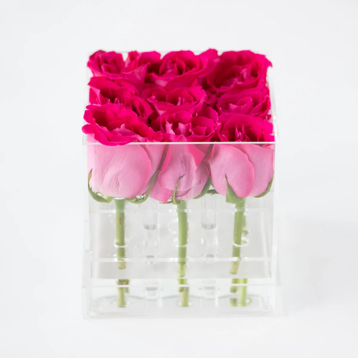 9 Roses