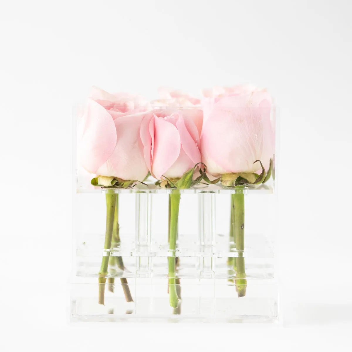 9 Roses