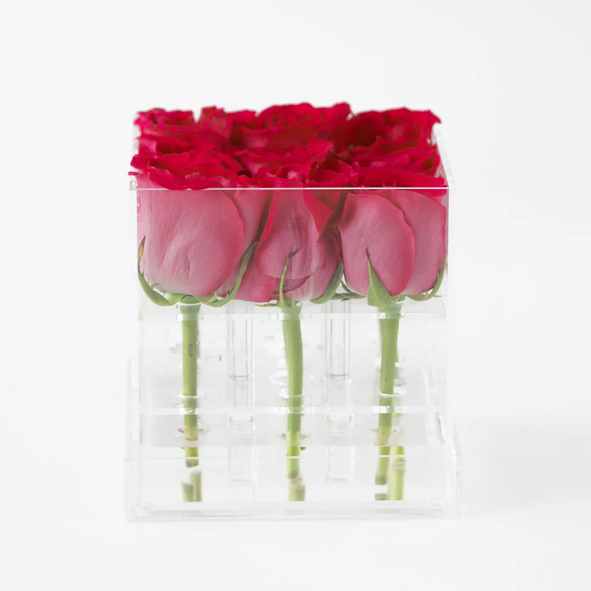 9 Roses