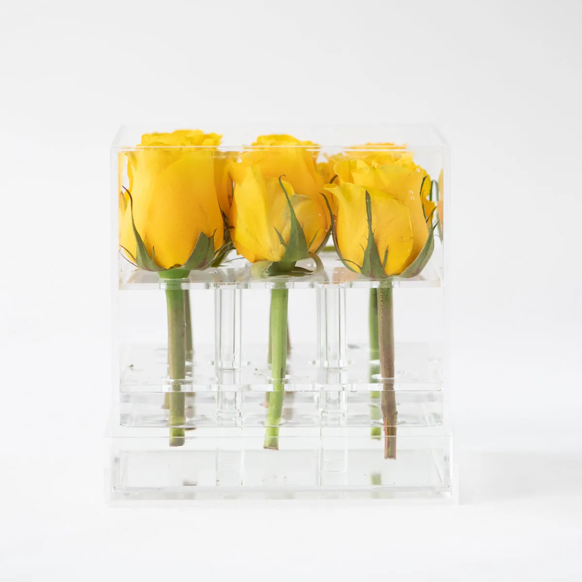 9 Roses