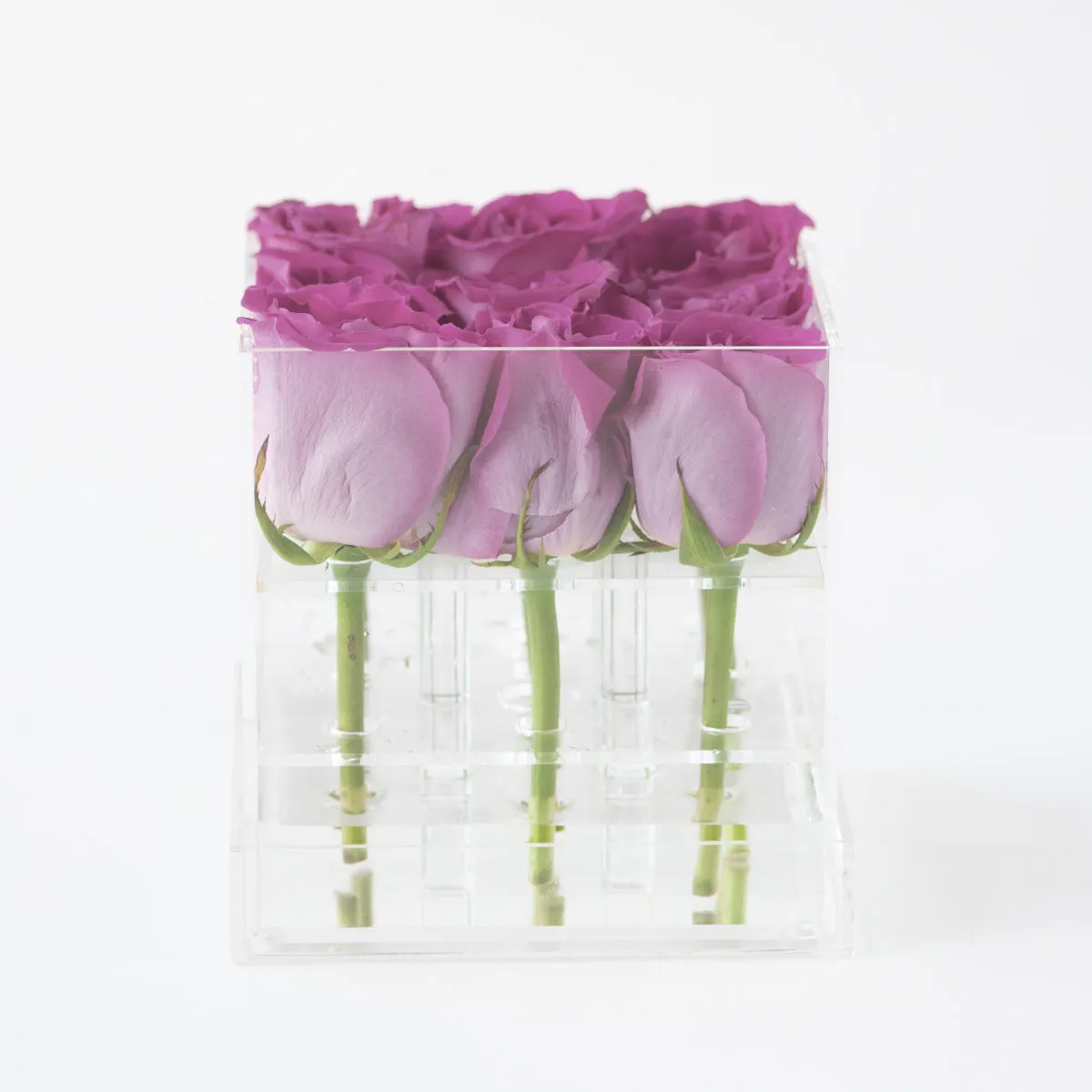 9 Roses