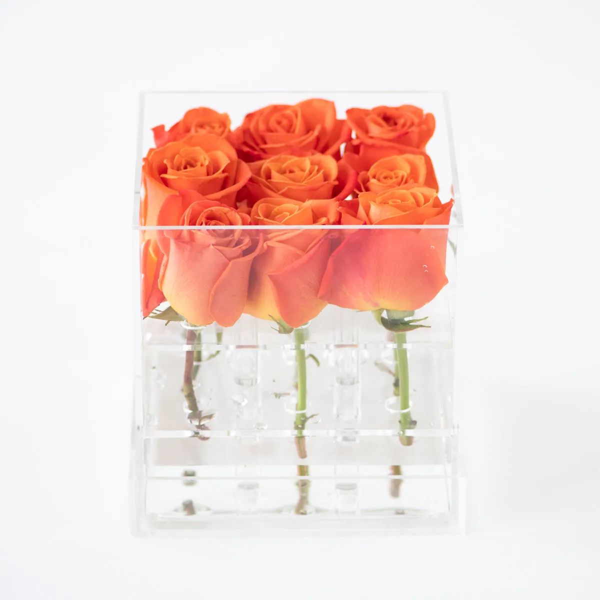 9 Roses