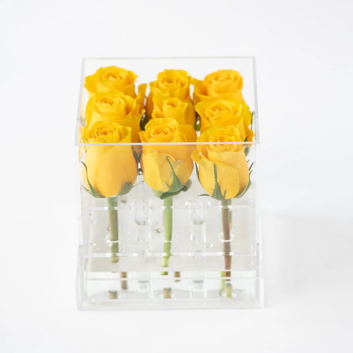 9 Roses