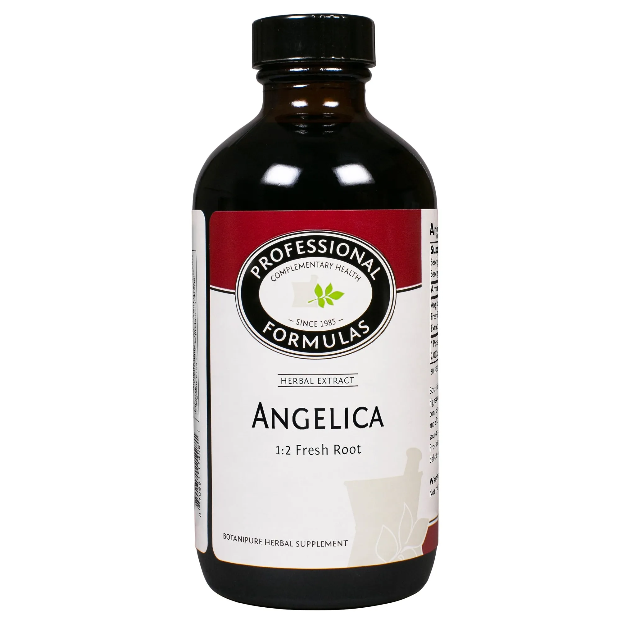 Angelica archangelica/Angelica(root)