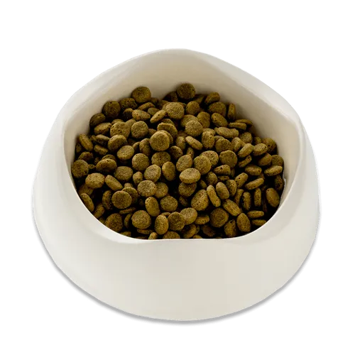 Beco Wild Boar Dog Food