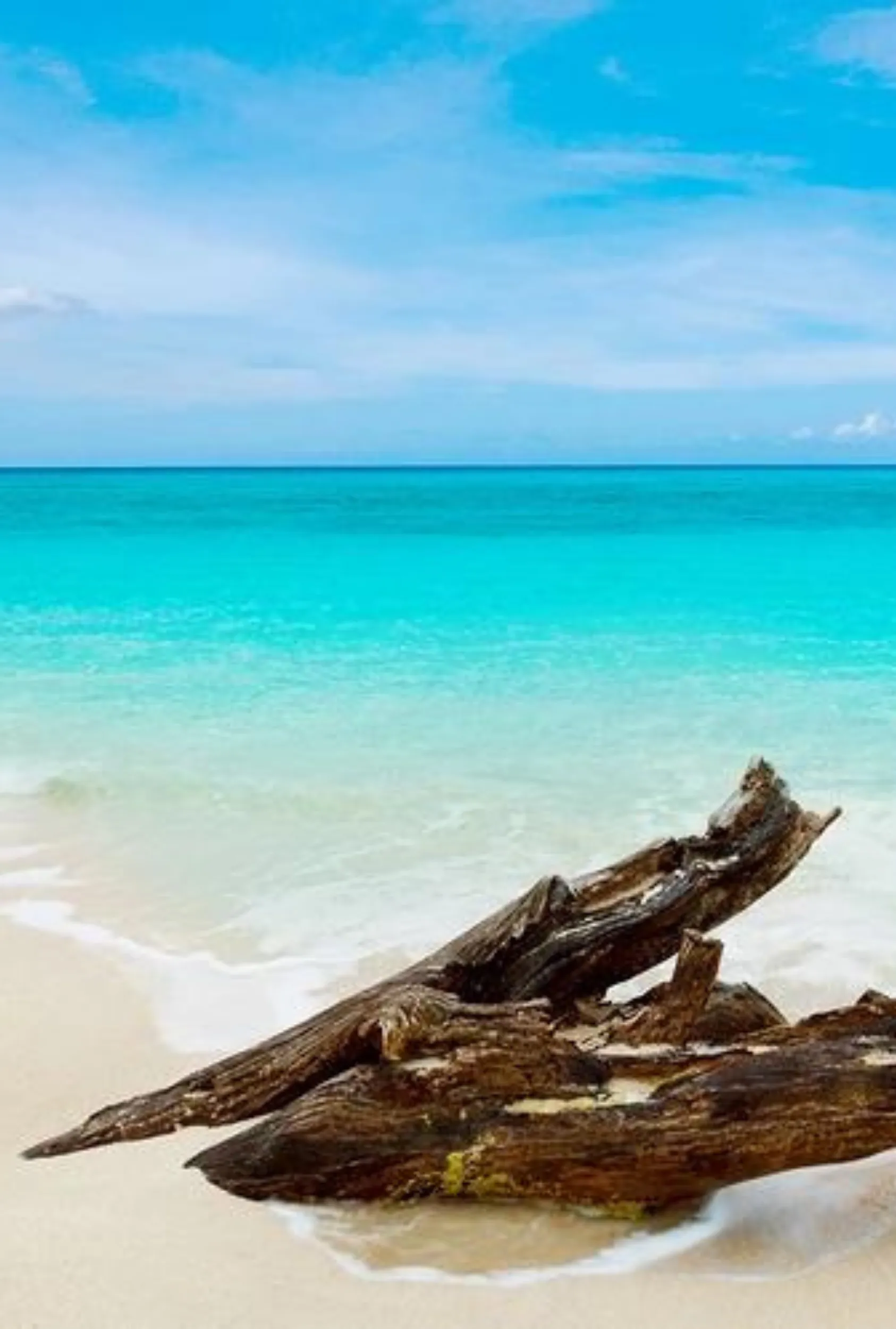 Caribbean Teakwood: Peppercorn   Tobacco Leaf   Amber