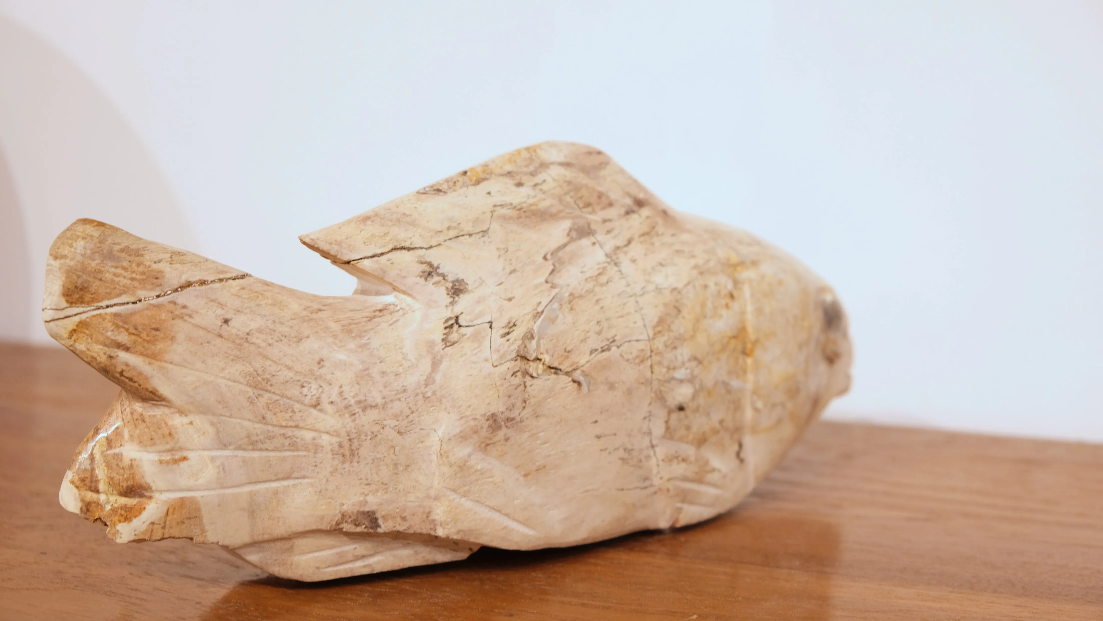 CARVED PETRIFIED WOOD FISH