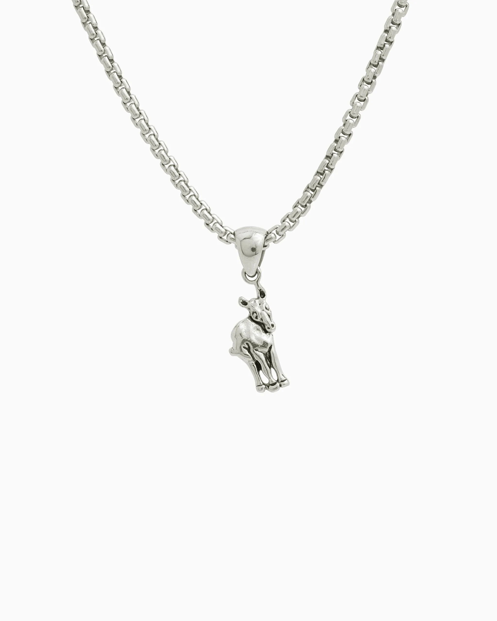 Donkey Charm