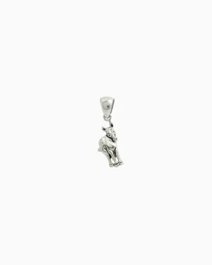 Donkey Charm