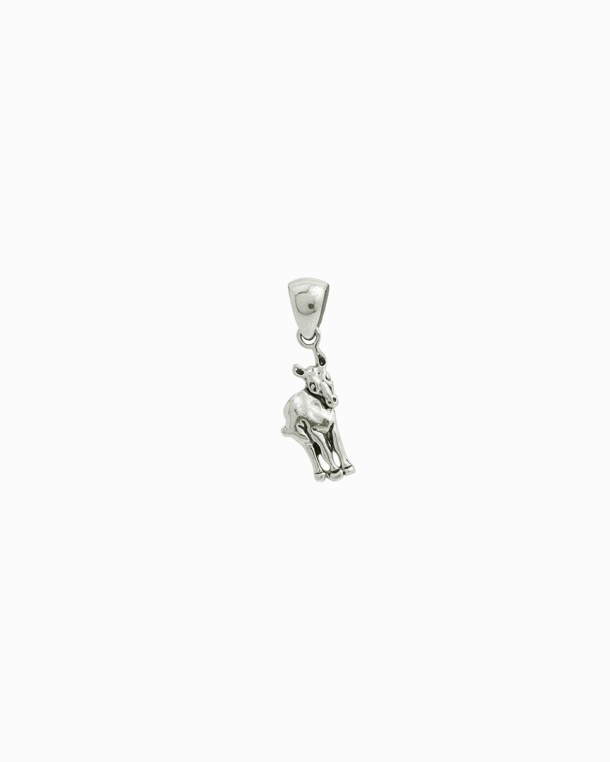 Donkey Charm